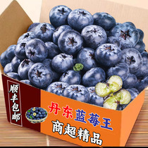 Mountain plateau fresh blueberry king fresh fruit boxed seasonal fruits ready to pick pregnant women full box large fruits