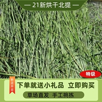 Newly dried Timothy grass in 2021 North Rabbit Chinchilla guinea pig pasture gross weight 1000G