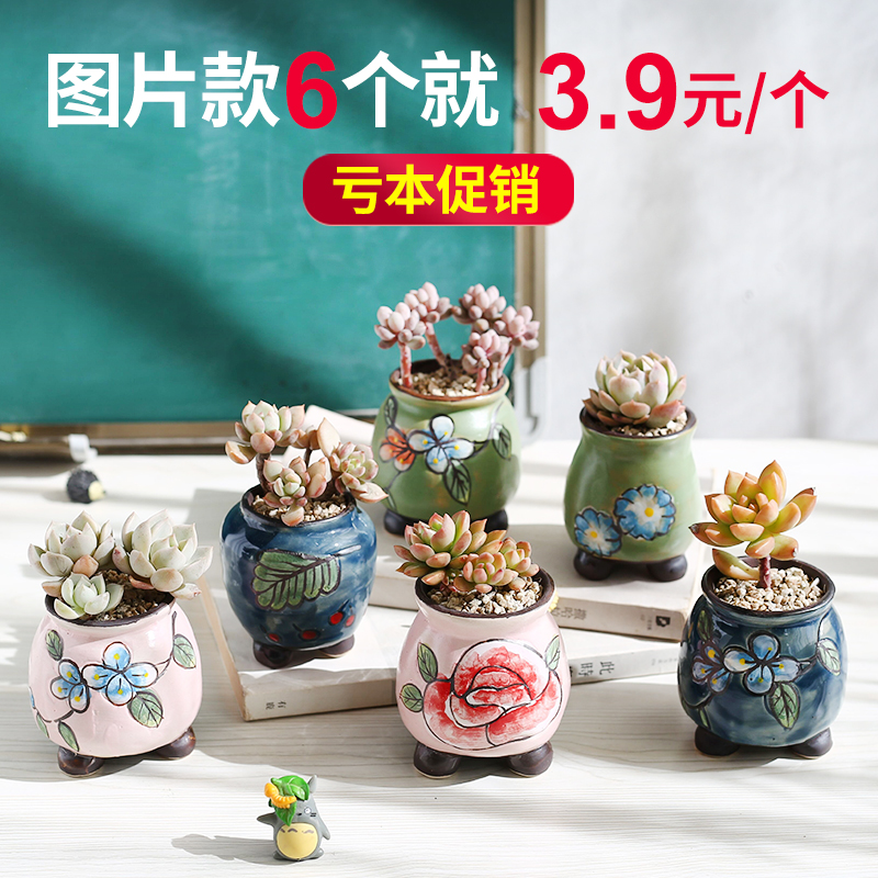 The Fleshy flowerpot ceramic special offer a clearance package mail large meat meat small basin of creative move contracted xi hand basin