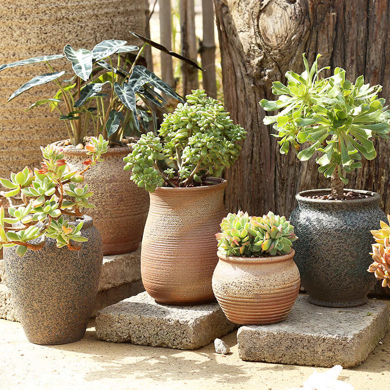 Fleshy old running the flowerpot large - diameter creative move coarse pottery breathable northern wind king flowerpot more meat package mail