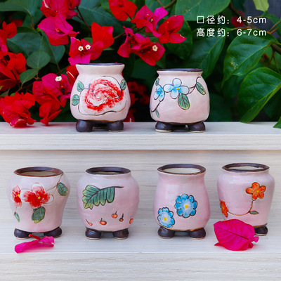 The Fleshy flowerpot ceramic special offer a clearance package mail large meat meat small basin of creative move contracted xi hand basin
