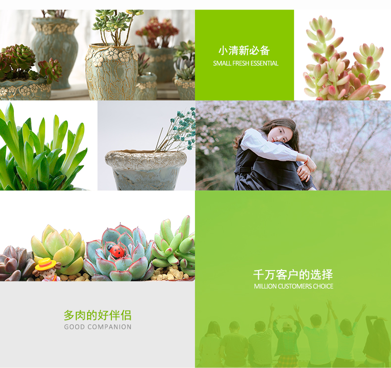 Korean meat flowerpot more than coarse pottery ceramic flower pot more creative platter flowerpot big flowerpot green plant pot wholesale