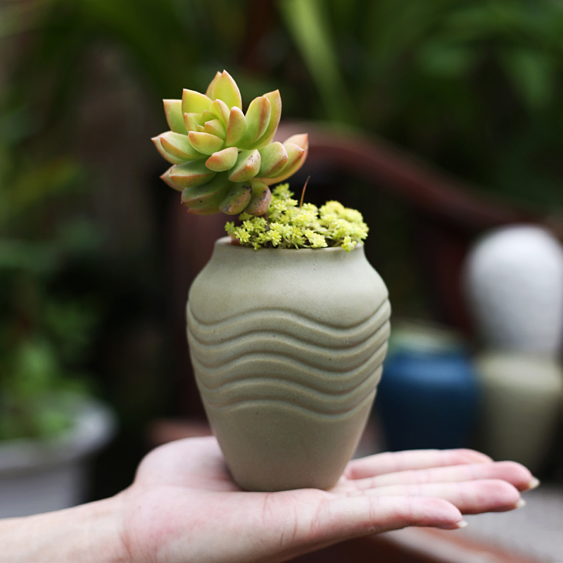 Fleshy flowerpot ceramic package mail special offer a clearance coarse pottery breathable complex ancient running the flesh creative move is small basin of wholesale