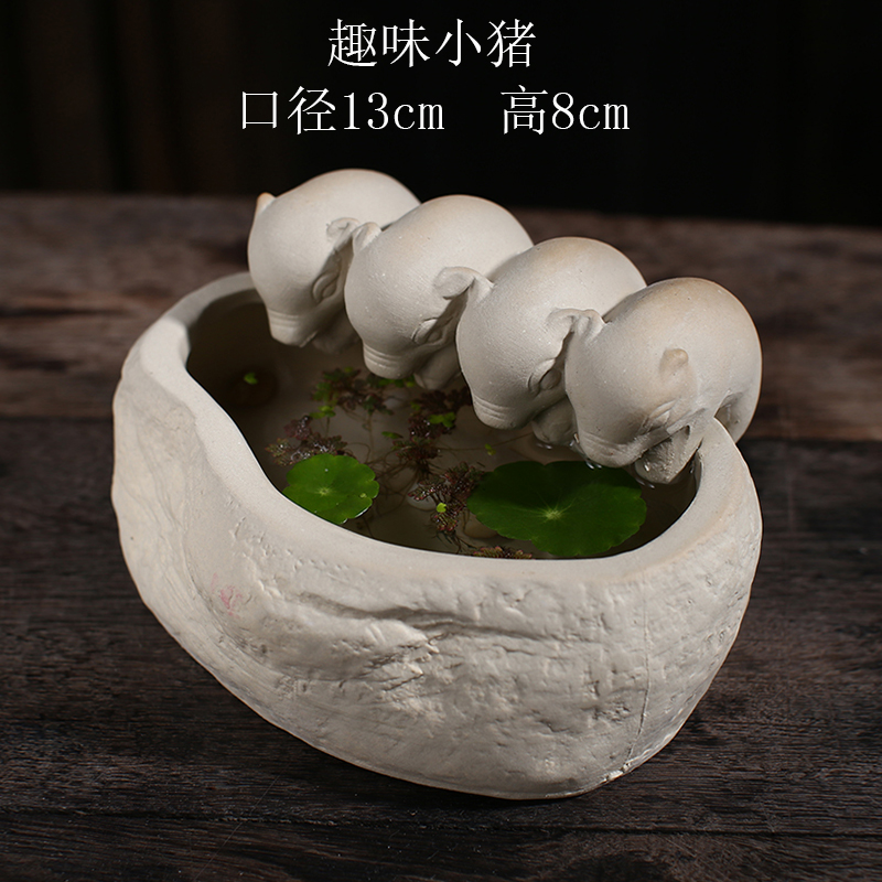 More meat small flowerpot pack mail special offer a clearance of creative move suit basin coarse pottery breathable, lovely combination, fleshy
