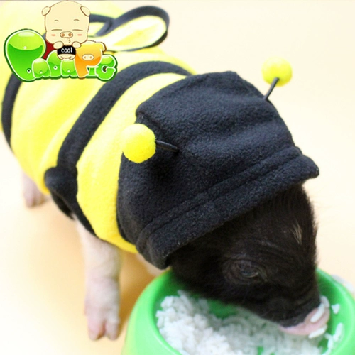 Biga Pig Boutique Clothing Clothing маленький свитер свиньи Свитер Super Citp