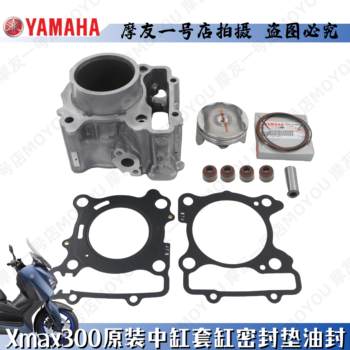 Xmax300 cylinder head sleeve cylinder piston ring pin card