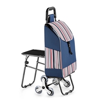 Trolley shopping cart Wheels Woman Shopping Cart shopping B