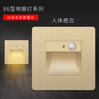 Индукция человеческого тела чистот золото и теплый белый свет