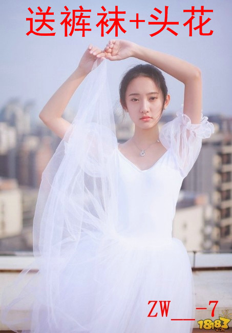 New Professional Dance Dress Ballet Pungbo Swan Lake Performing Adult Bubble Sleeve Ballet