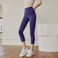 Полуночный синий фиолетовый