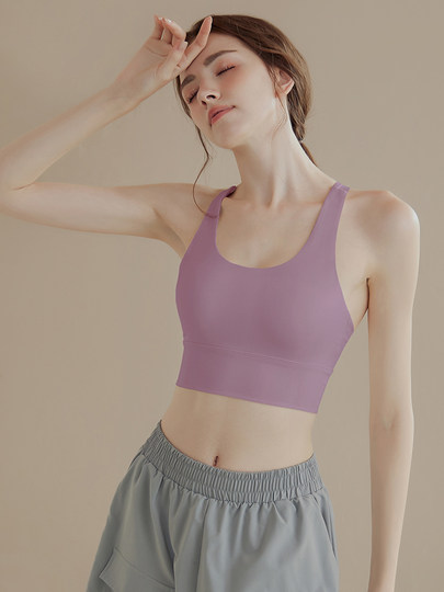 Daddect High-Intensity Sports Bra for Women, Shock-Proof and Anti-Sagging, Running Fitness Bra, All-In-One Yoga Vest