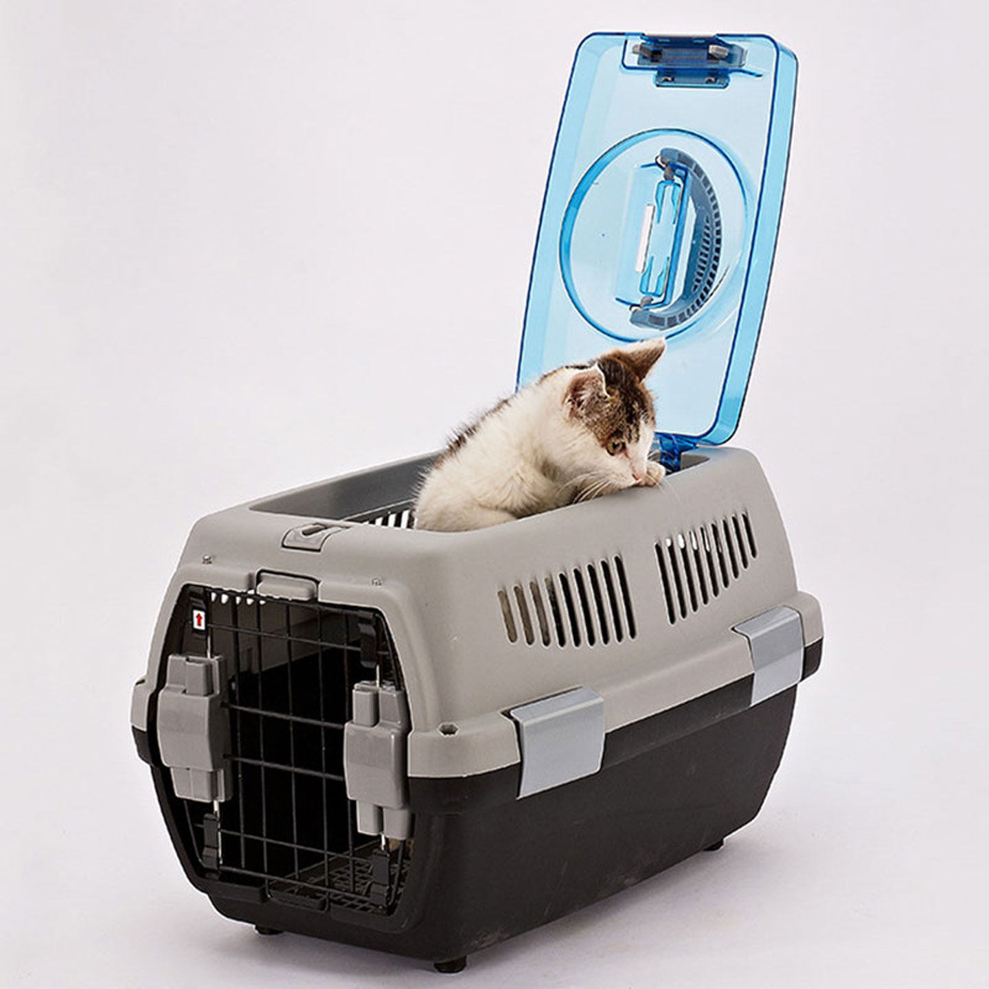 宠物外出航空箱猫托运专用猫包带天窗隔尿板旅行箱便携车载狗笼子：萌宠