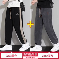 2309 черный +2312 Deep Grey (2 установки)