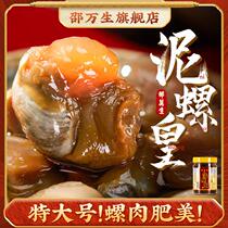 Shanghai specialty Shao Wansheng mud snail emperor large ready-to-eat wild yellow mud snail raw pickled fresh drunk mud snail Ningbo seafood