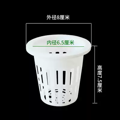 Soilless cultivation equipment inside diameter 6 5cm ding zhi lan ding zhi bei colonization sponge grow hydroponic vegetables