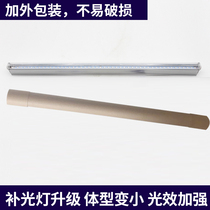 Plant fill light lamp Fleshy growth lamp Indoor imitation sunlight LED full spectrum soilless cultivation vegetable fill light lamp