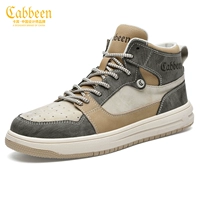 Сплайсированный песчаный цвет