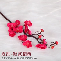 Короткая бида Мэй Мей красный