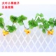 Mô phỏng mây trái cây rau siêu thị cửa hàng trái cây trang trại tường trần nhựa kéo hoa treo trang trí hoa - Hoa nhân tạo / Cây / Trái cây