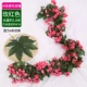 Весна 69 Rose Red 5 штук