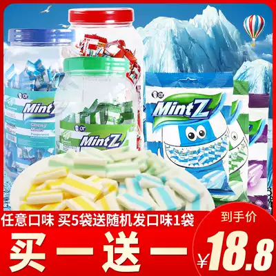 Indonesia imported MintZ double MINT gummy 460g canned cool candy dating snack MINT