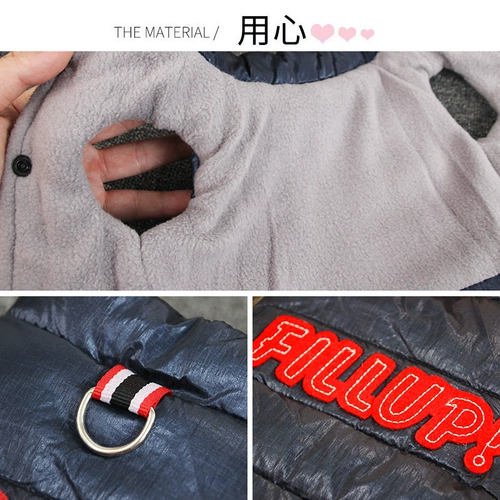 Одежда для домашних животных, собаки, кошки, одежда, маленькие собаки, утолщенные, плюшевый медведь Бишон, осенняя и зимняя одежда, плюс бархат, двуногие хлопковые одежды