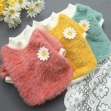 Симпатичная рубашка для рубашки Dverwood Count Dog Pett, домашнее животное плюшевое медведь.