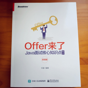 Offer来了 Java面试核心知识点精讲 原理篇 王磊 著 专业科技 程序设计（新） 新华书店正版图书籍电子工业出版社