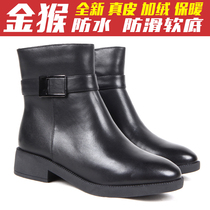 Golden Monkey leather plus velvet warm womens cotton shoes soft bottom non-slip winter zipper high-top cotton shoes womens cotton boots