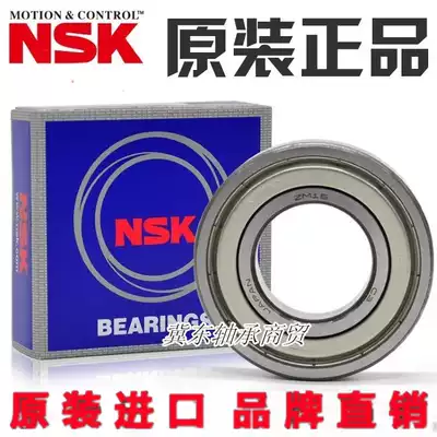 Japan imported NSK bearings 6313 6314 6315 6316 6317 6318 6319 6320ZZ DDU