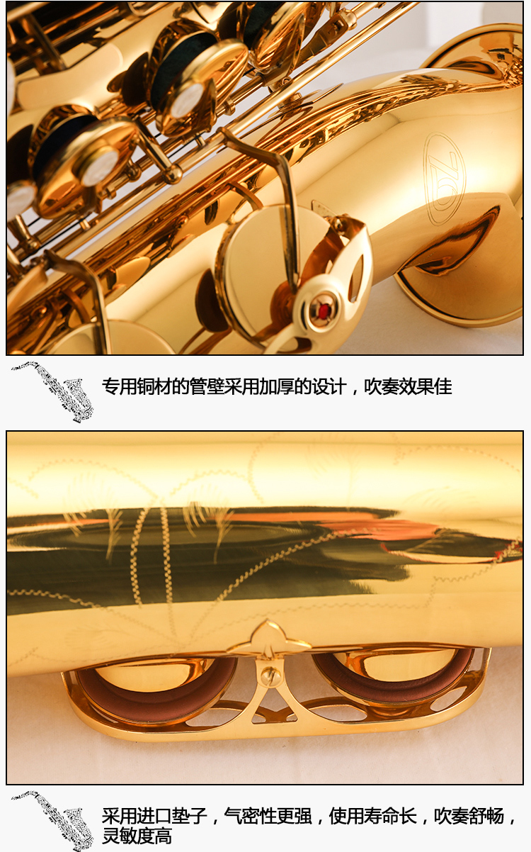 Nhạc cụ bằng đồng cho người mới bắt đầu chuyên nghiệp nói chung tenor saxophone xuống B điều chỉnh phím phụ: âm cao #F - Nhạc cụ phương Tây kèn harmonica