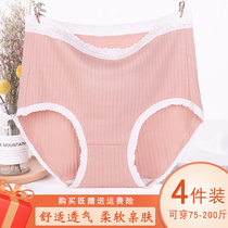 Big Code 200 Catty Pants Woman Fat Mm Pure Cotton High Waist Fat Man Fat Girl Fat Girl Girl Girl Summer Thin shorts