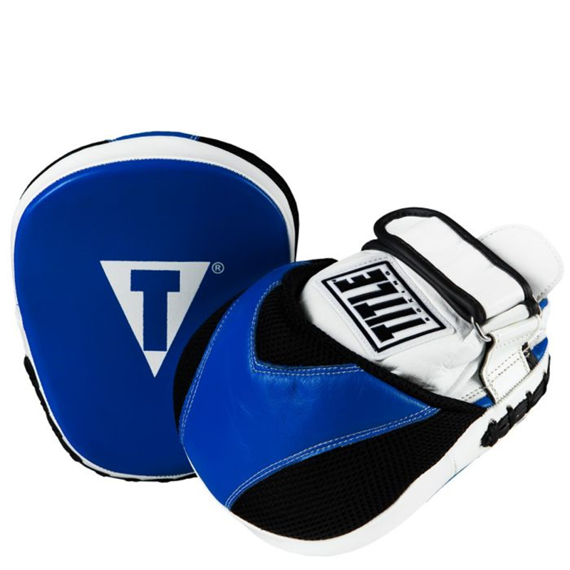 Title title FLURRY boxing Muay Thai fighting training competition professional boxer target target