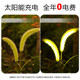 Solar reed dog tail light outdoor waterproof courtyard garden light arrangement decorative dandelion ground lawn light