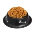 Issa Wyler bạn thức ăn cho mèo vào thức ăn cho mèo con mèo cái đang mang thai 10kg Anh Mỹ ngắn Mỹ mèo Garfield ngắn bánh sữa cho mèo thức ăn chủ yếu - Cat Staples