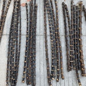 Purple-Black Bamboo Whip, Solid Purple Bamboo Root Pipe, DIY Supplies, Bamboo Joint Pipe Handle Raw Material, Purple Bam