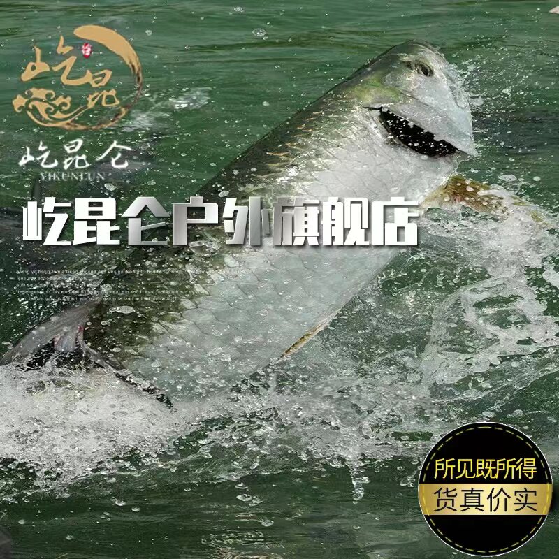 高端帆布包个性化定制