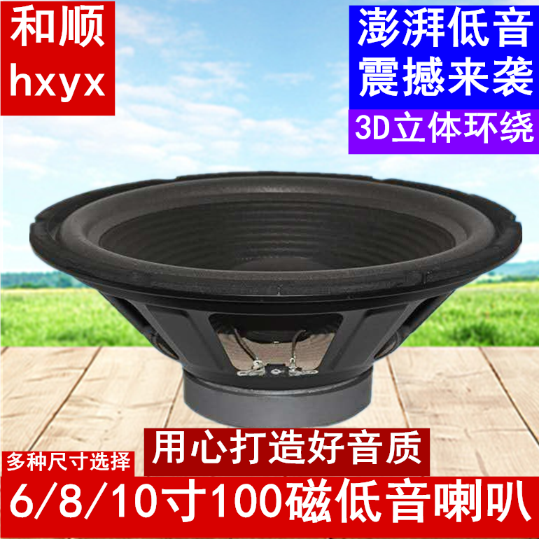 6 inch 8 inch 10 inch 100 magnetic subwoofer bass shock effect good subwoofer speaker Sound speaker