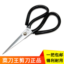 Kitchen knife king scissors Stainless steel kitchen home office medical safety handmade student small hair cutting seam scissors