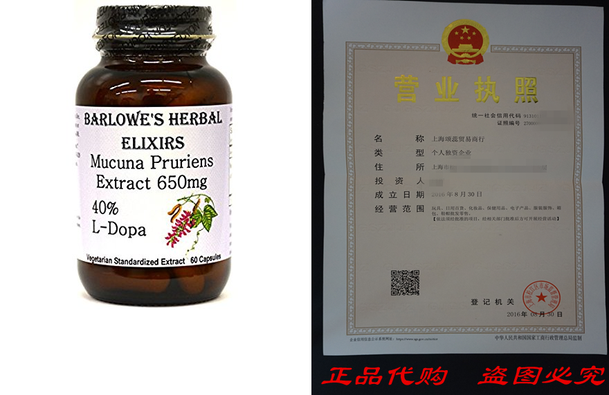 Mucuna Pruriens 40% L-dopa Extract - 60 650mg VegiCaps -Ste