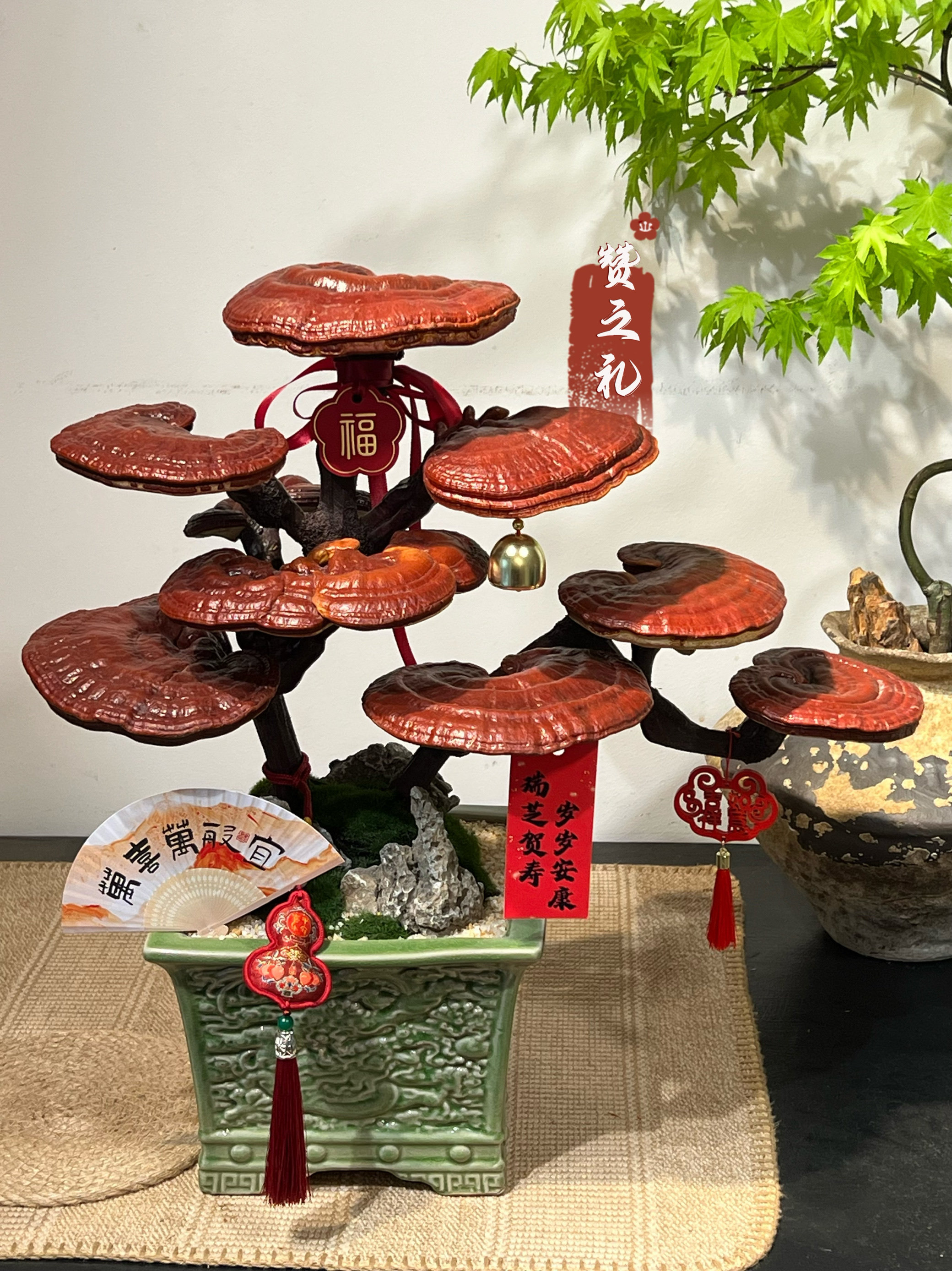 灵芝祝寿:送给爸妈领导的最佳长寿礼物,寓意吉祥的真灵芝盆景-情绪植物-淘宝百科网