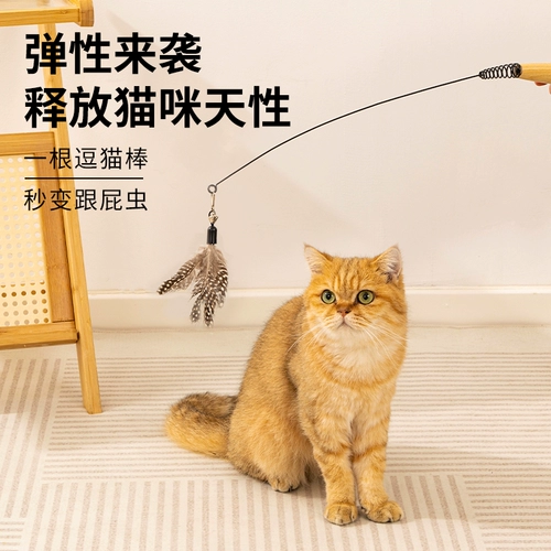 Уровень конкуренции CFA кошка кошка игрушка длиннополю