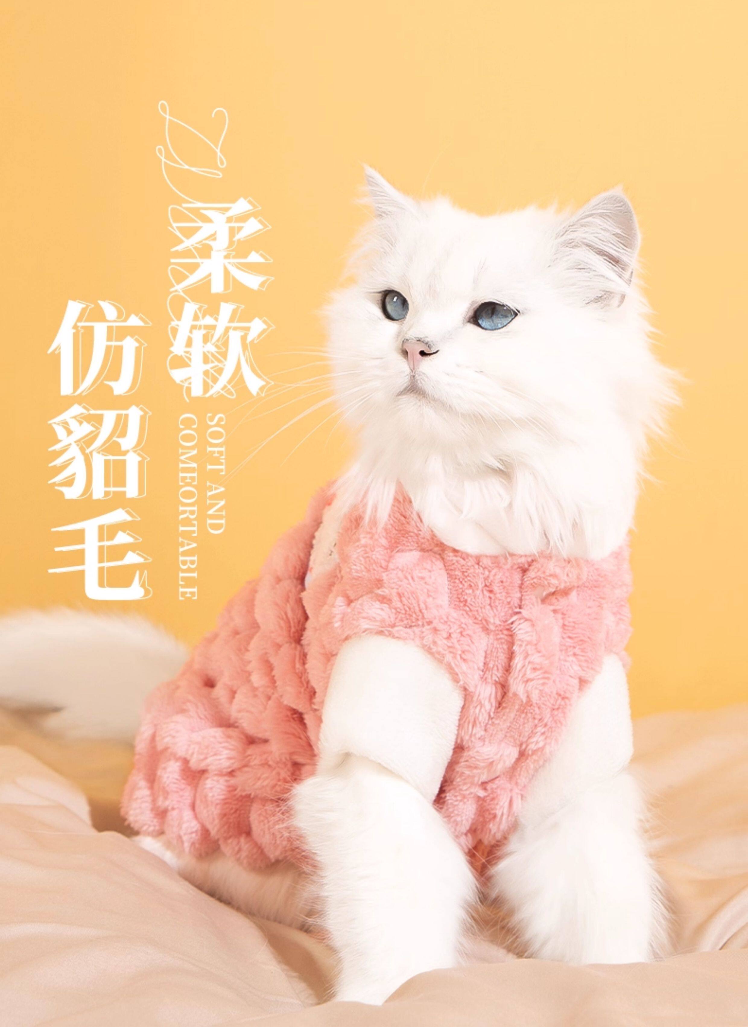 Одежда для животных 狗狗衣服过年秋冬款可牵引比熊泰迪小型犬冬天宠物猫咪衣服加绒