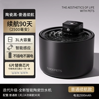 Керамический черный [2500 мАч] + 6 комплектов фильтрующих элементов (всего 7 комплектов фильтрующих элементов)