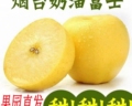 大平果园