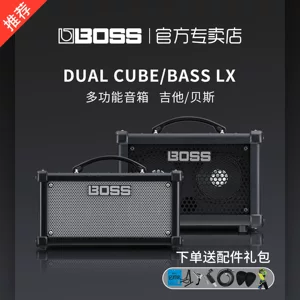 Босс Roland Dual Cube Bass LX Многофункциональный британский Bluetooth Audio Расчет гитарного баса
