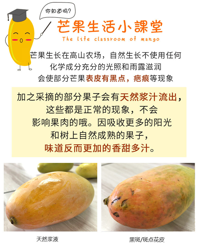 泰国进口 释迦摩尼芒果 5斤 图14