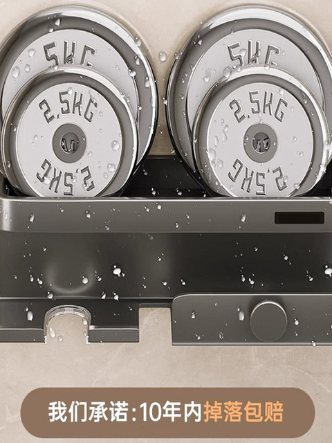 French Imported Ziwoo Hair Dryer Holder, No-Drill Wall-Mounted Bathroom Shelf, Bathroom Storage Organizer