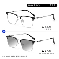 8669 черный серебристый + матовый до серого