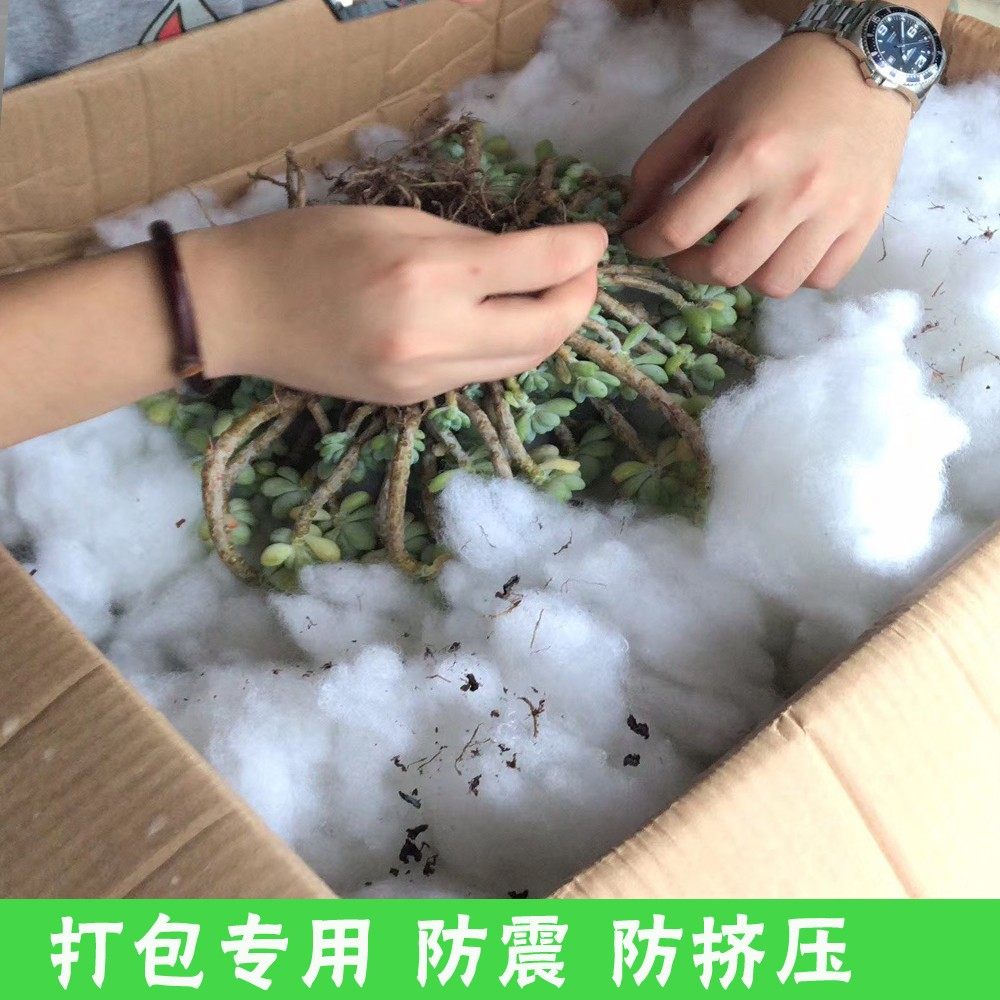 丝棉PP棉多肉打包棉花成卷丝棉高弹抱枕头坐垫玩偶靠垫坐垫填充棉